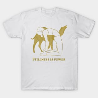 Stillness is Power T-Shirt